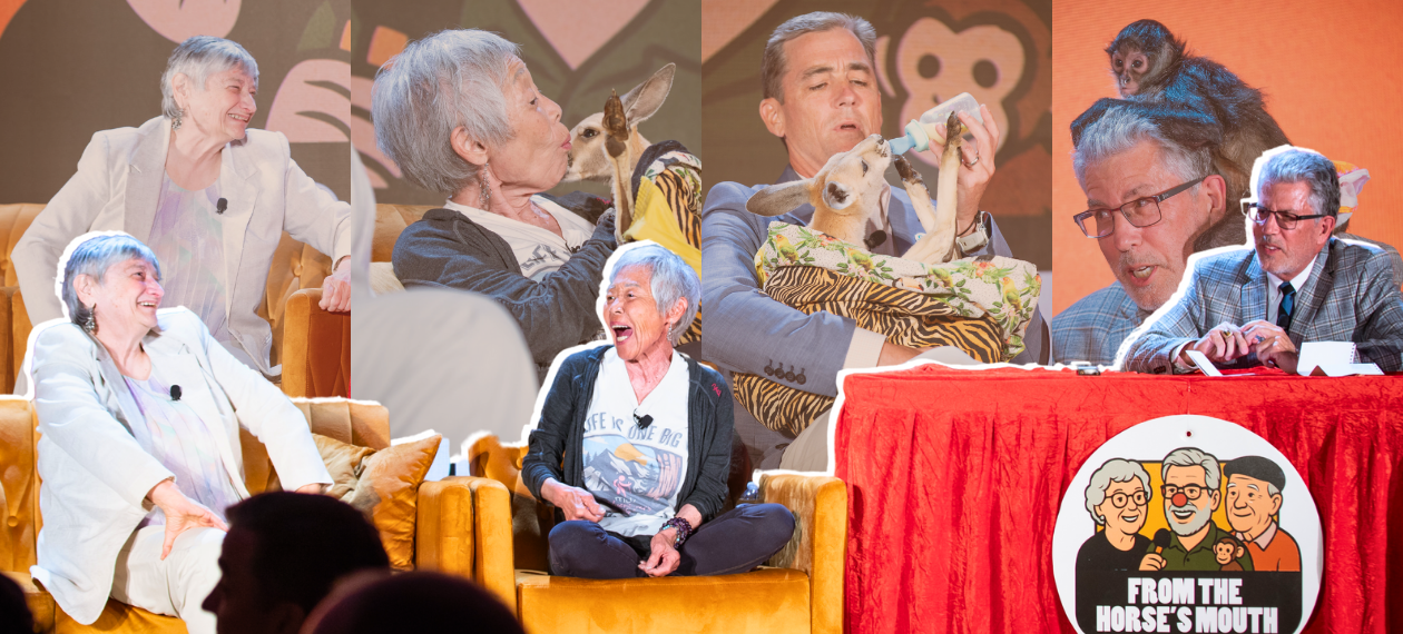 When Senior Living Residents, a Kangaroo, and Monkeys Share A Stage